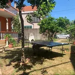 Hostel Bliss & Tours Shkodër
