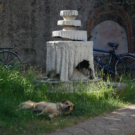 旅馆 Bliss Garden Retreat Private Near Center Shkodër