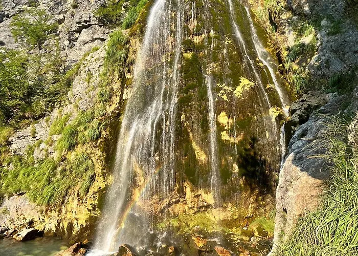 Bliss & Tours Albergue Shkodër