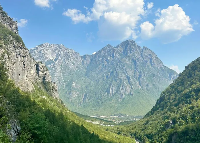 Bliss & Tours Albergue