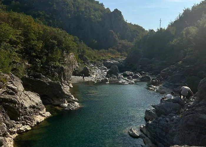 Albergue Bliss & Tours *