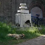 Vandrerhjem Bliss & Tours Shkodër