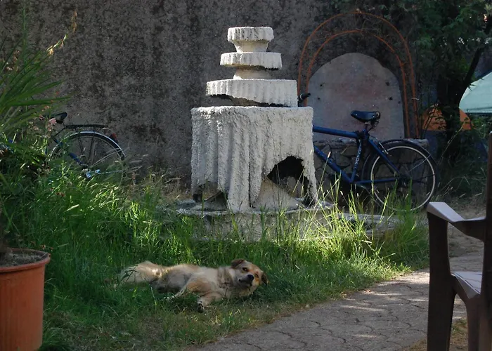 Hostel Bliss & Tours Szkodra